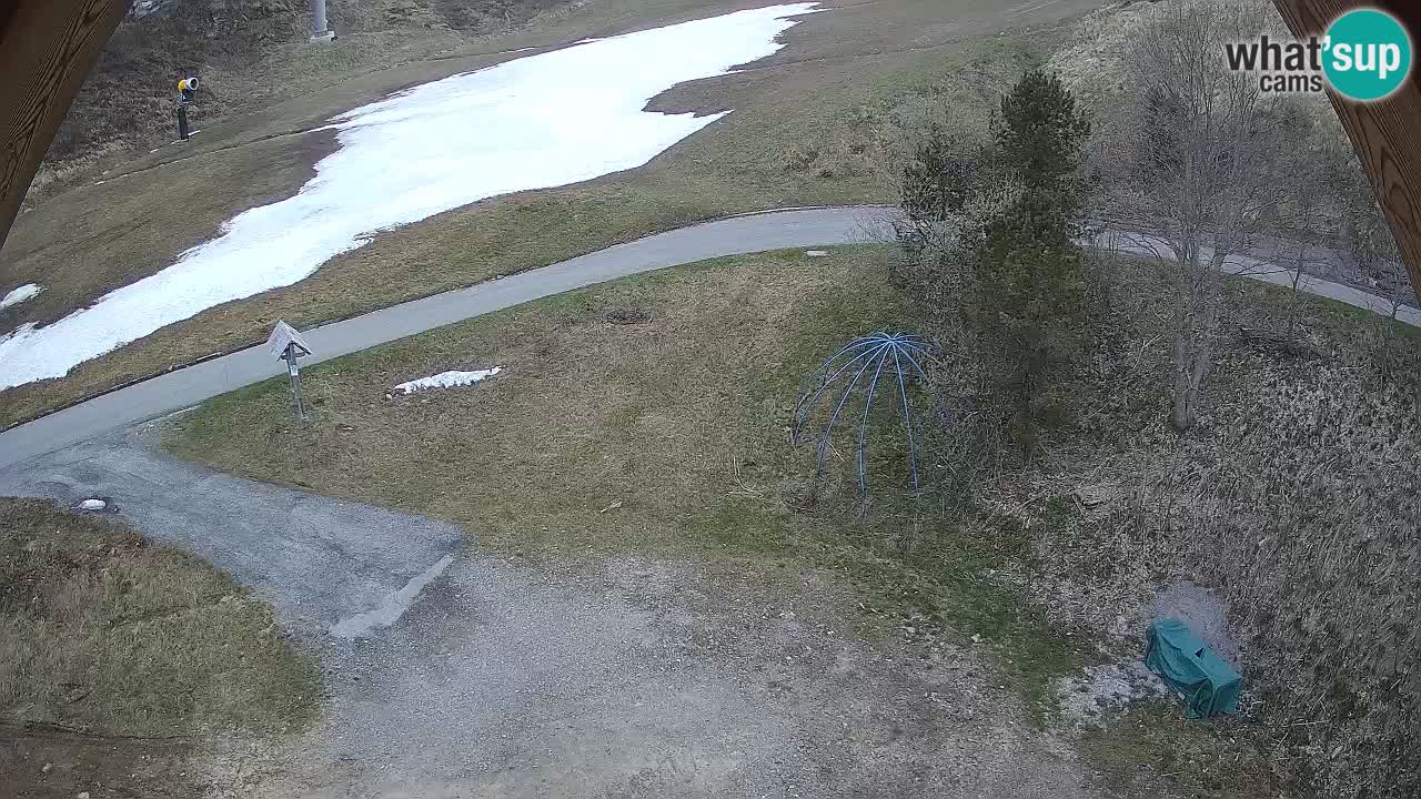 Station ski Zoncolan – Goles