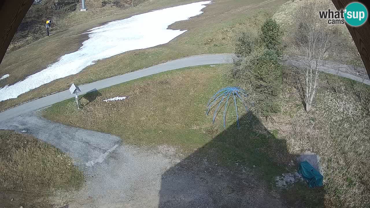 Ski resort Zoncolan mountain – Goles