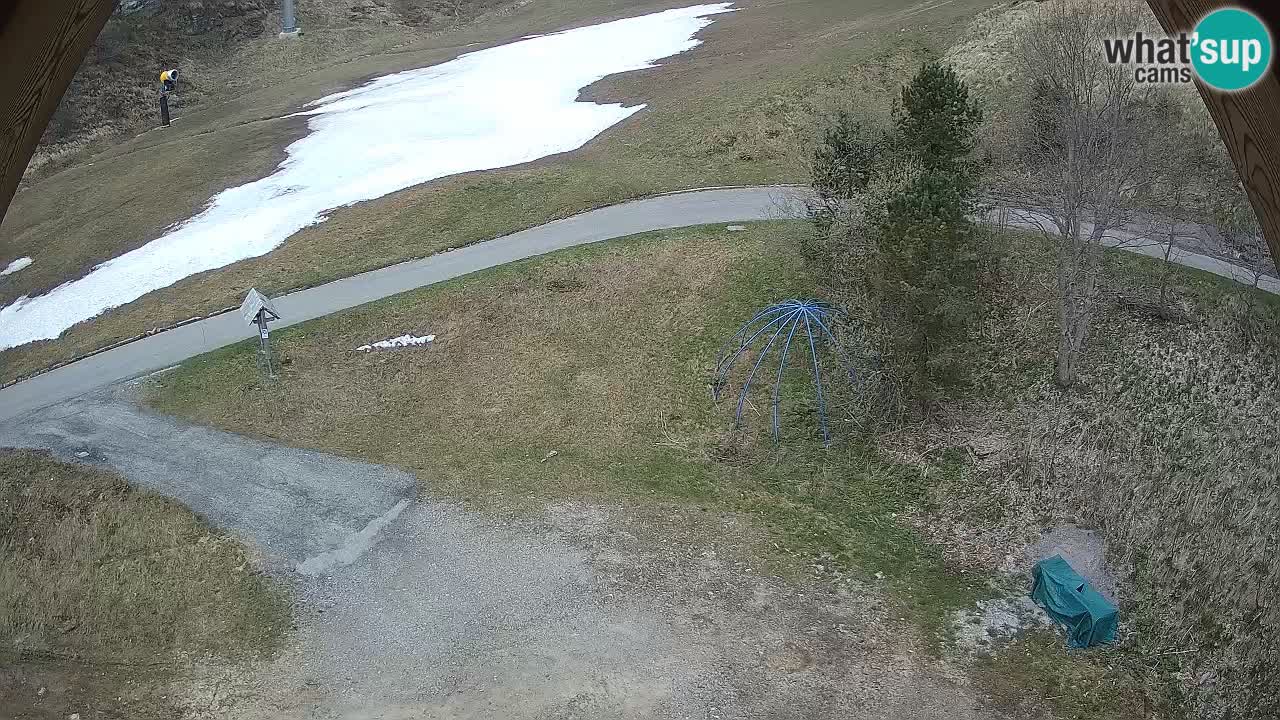 Station ski Zoncolan – Goles