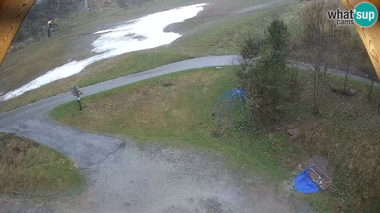 Smučišče Zoncolan – Goles