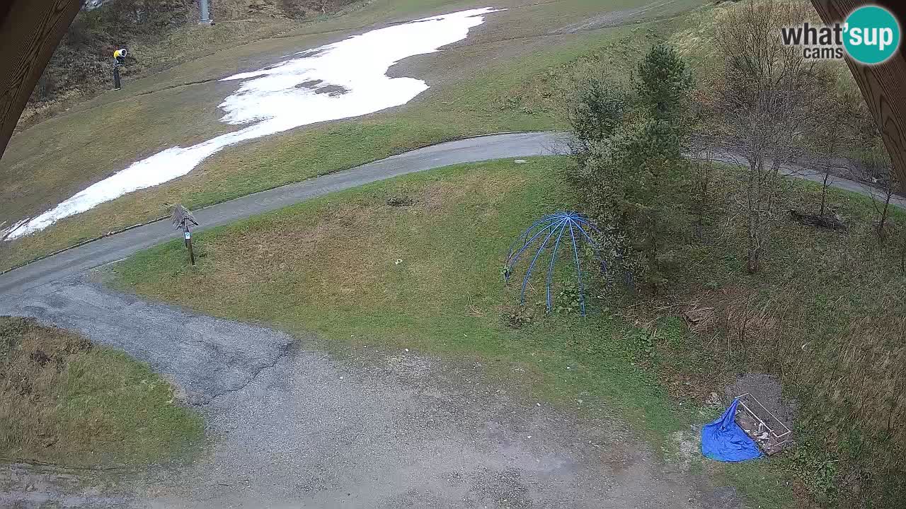 Ski resort Zoncolan mountain – Goles