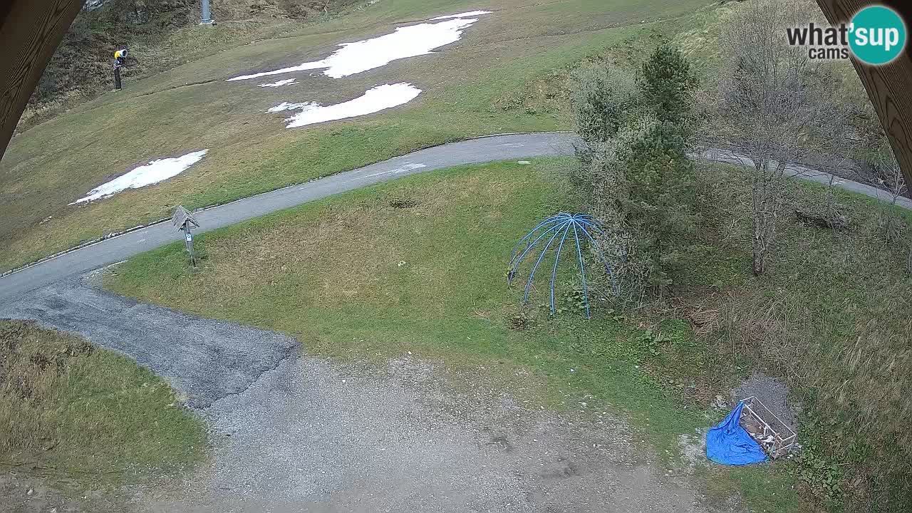 Ski resort Zoncolan mountain – Goles