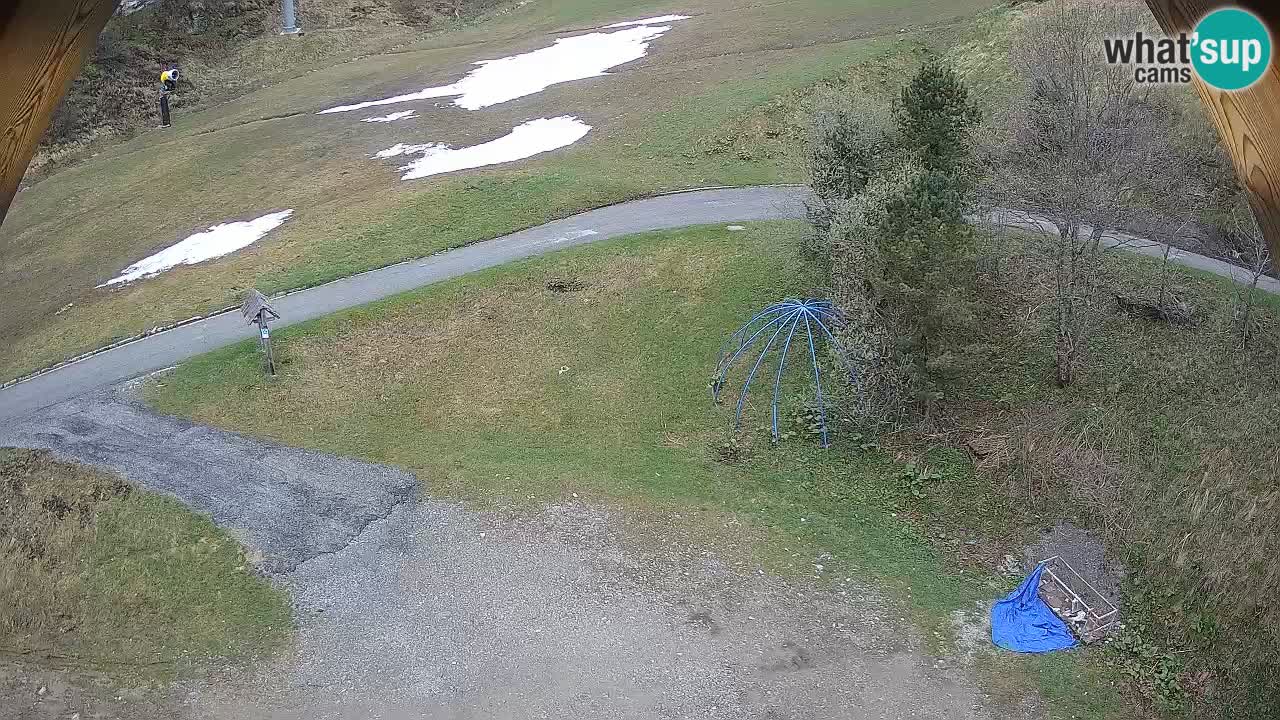 Skigebiet Zoncolan – Goles