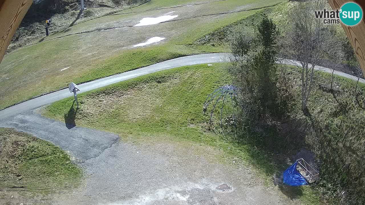 Smučišče Zoncolan – Goles