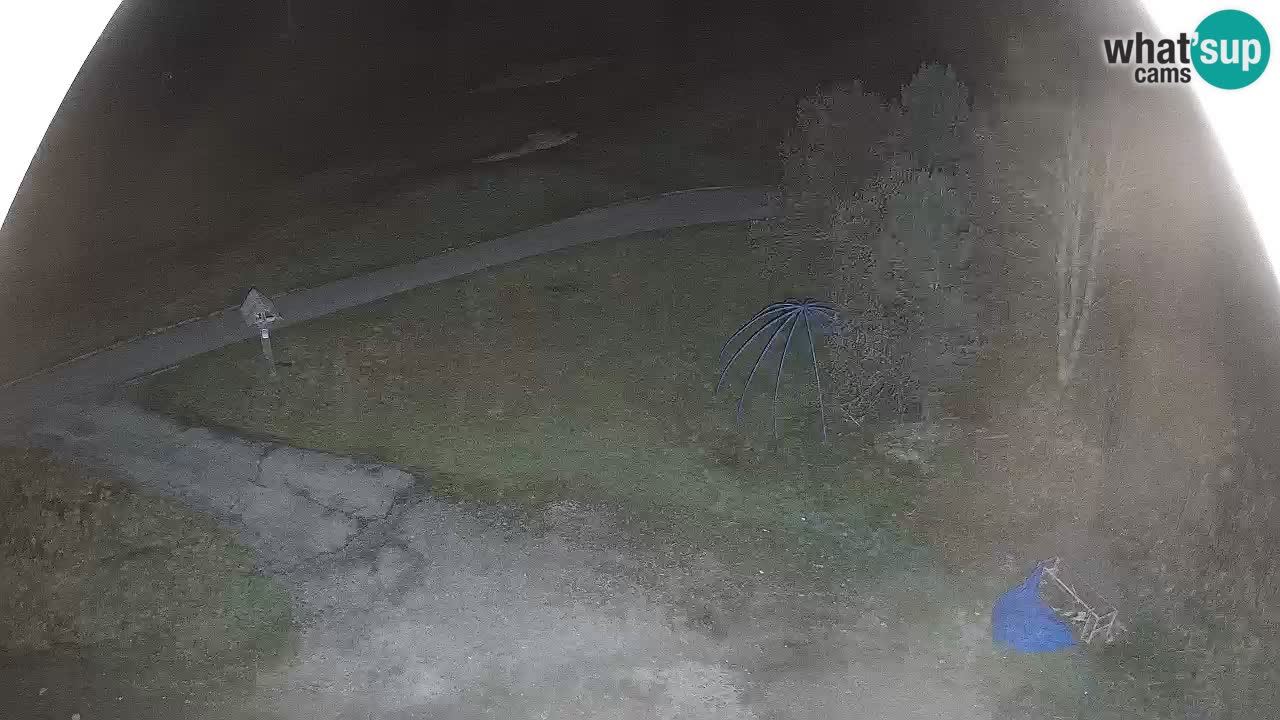 Skijalište Zoncolan – Goles