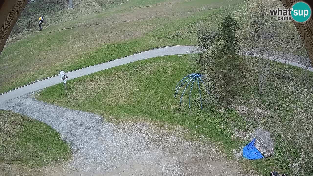 Ski resort Zoncolan mountain – Goles
