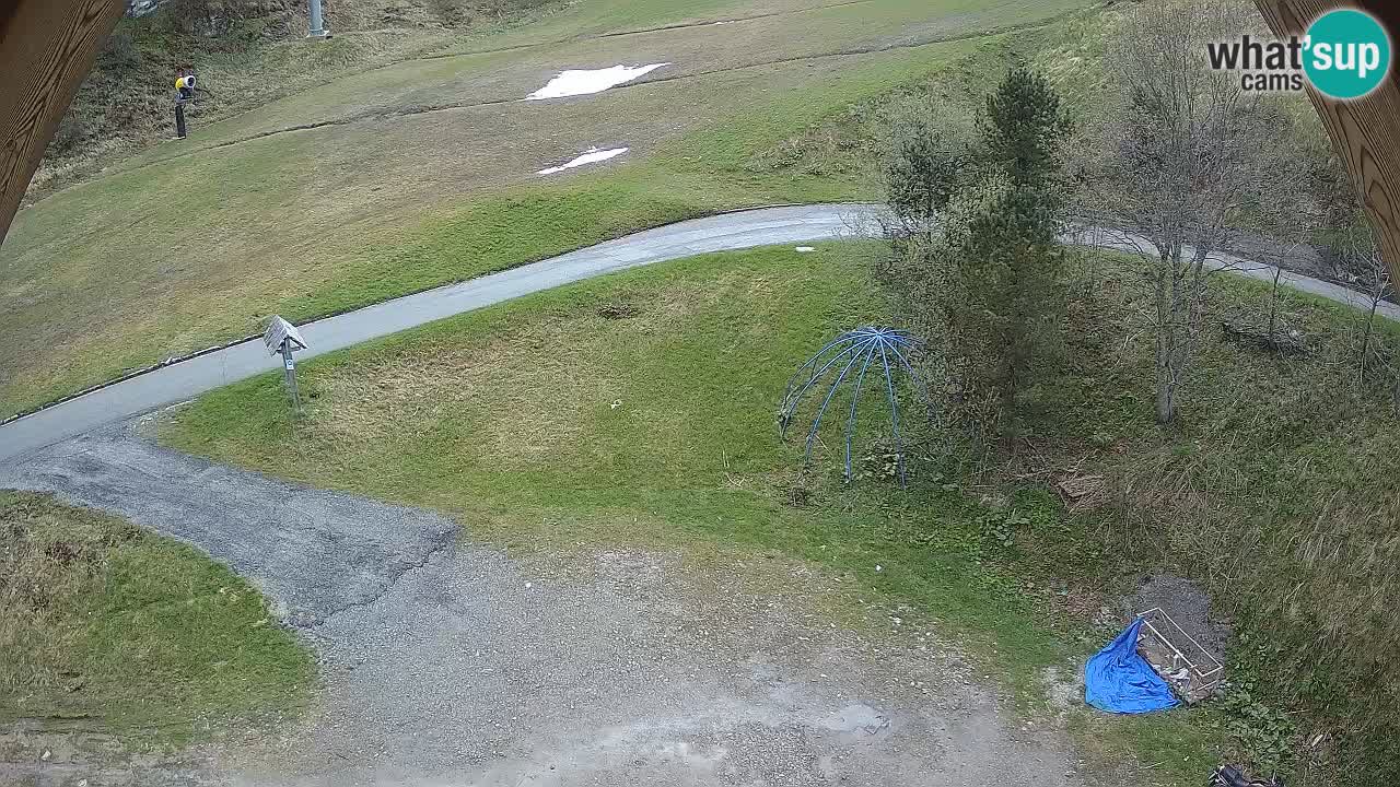 Smučišče Zoncolan – Goles