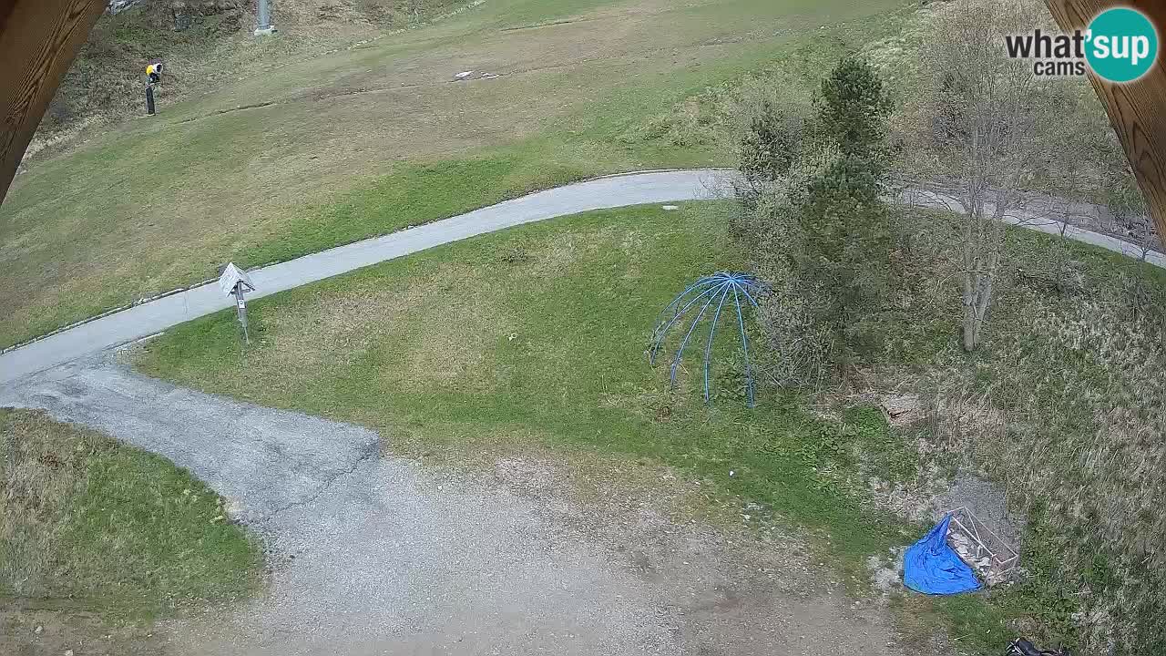 Smučišče Zoncolan – Goles