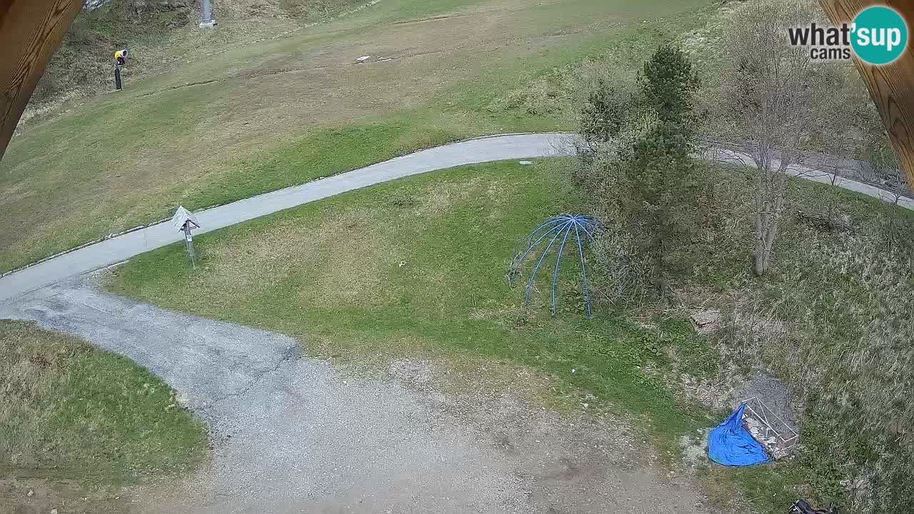Smučišče Zoncolan – Goles