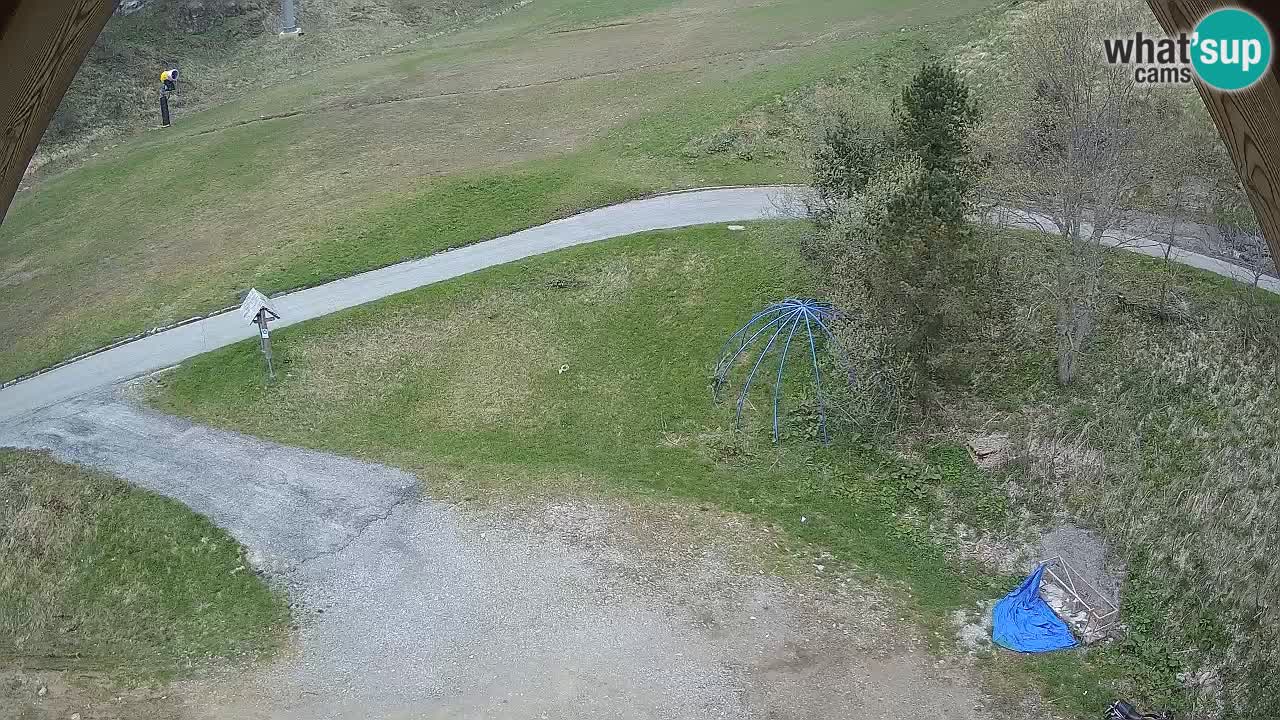 Ski resort Zoncolan mountain – Goles