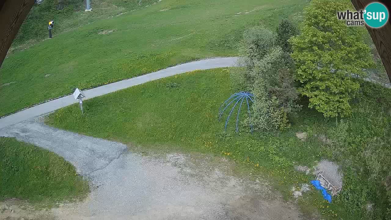Ski resort Zoncolan mountain – Goles