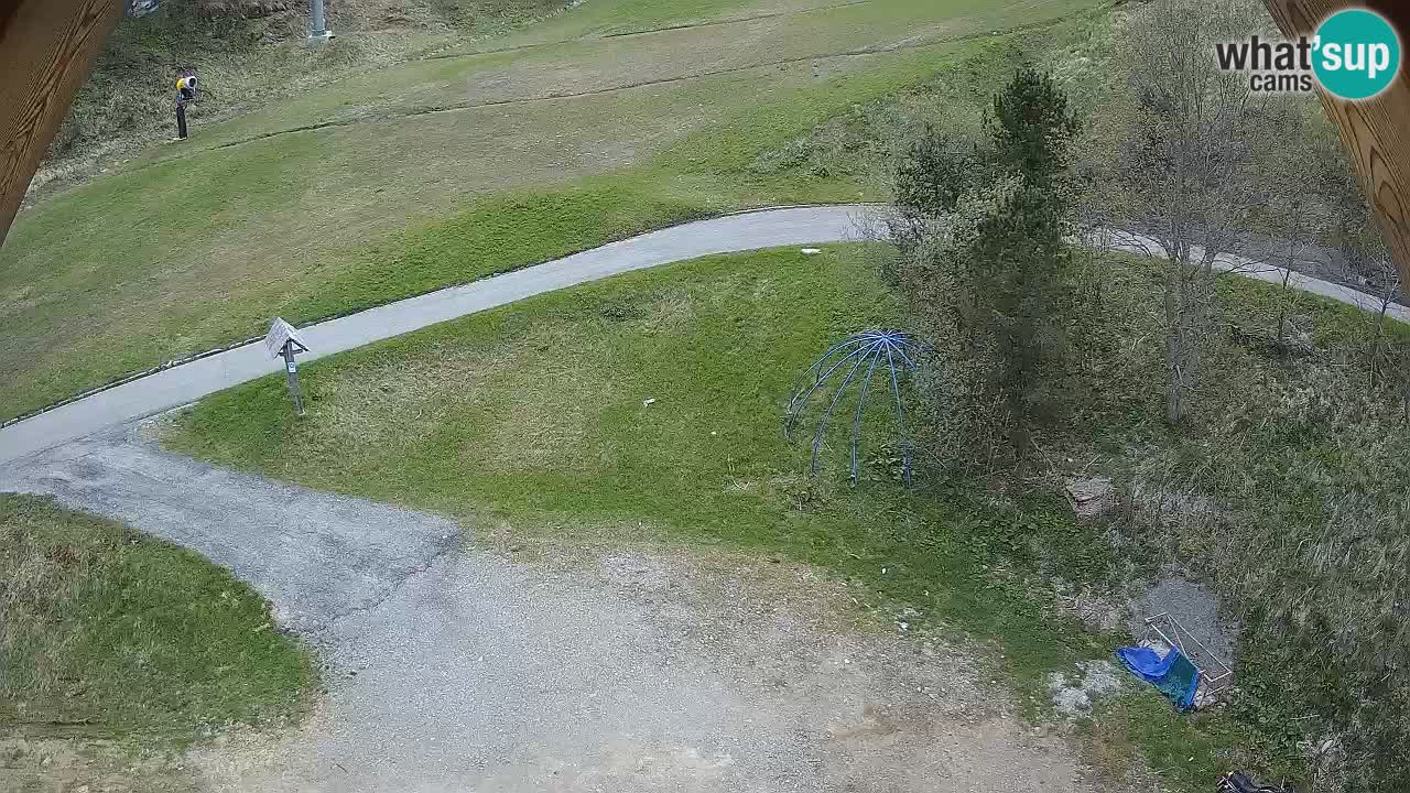 Smučišče Zoncolan – Goles