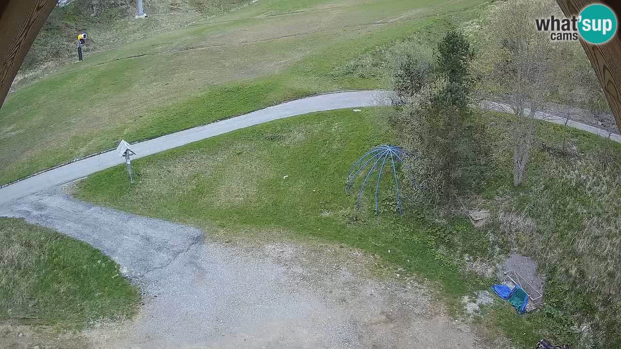 Smučišče Zoncolan – Goles