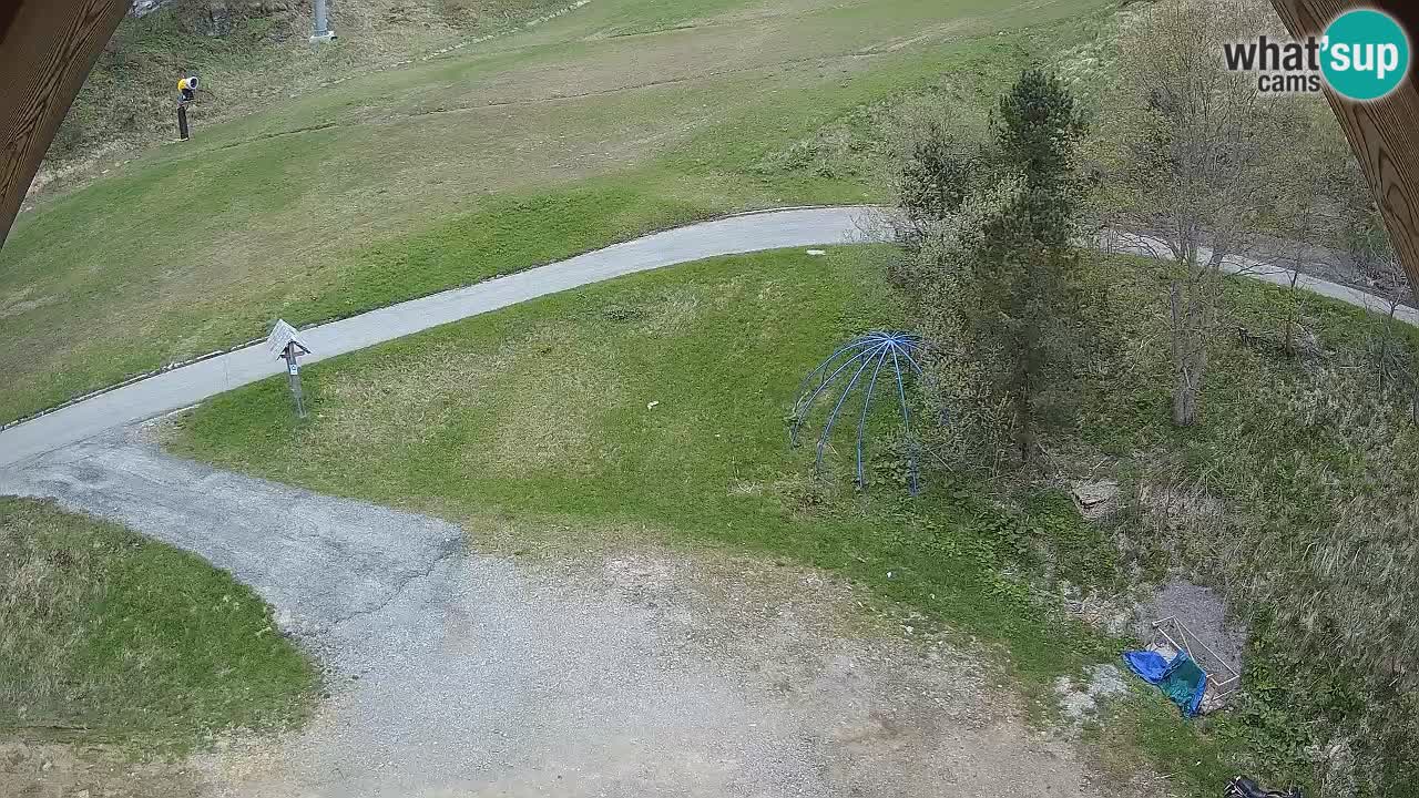 Smučišče Zoncolan – Goles