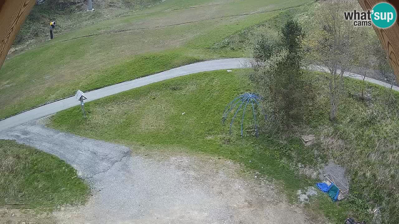 Smučišče Zoncolan – Goles