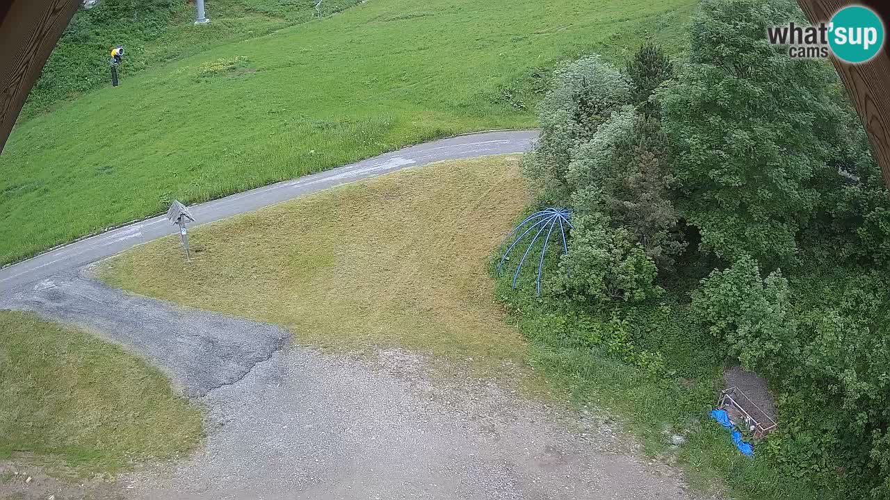 Smučišče Zoncolan – Goles