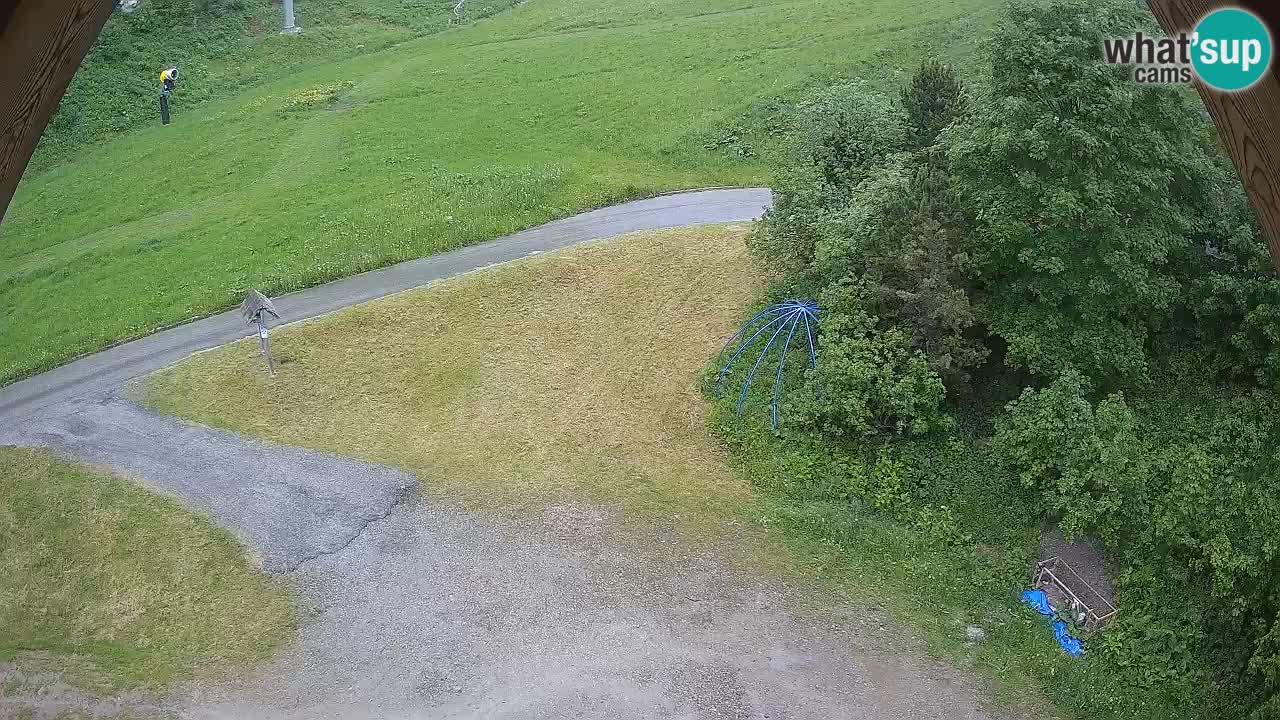 Smučišče Zoncolan – Goles