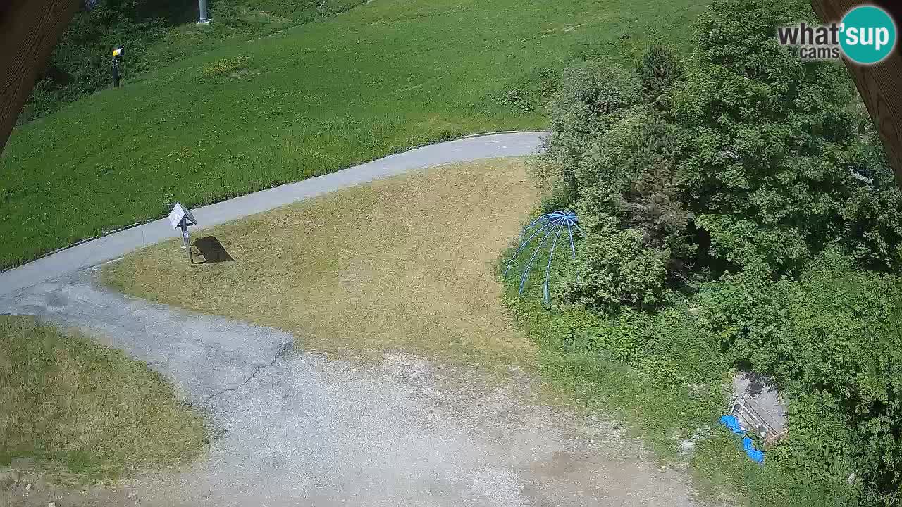 Stazione sciistica Zoncolan – Goles