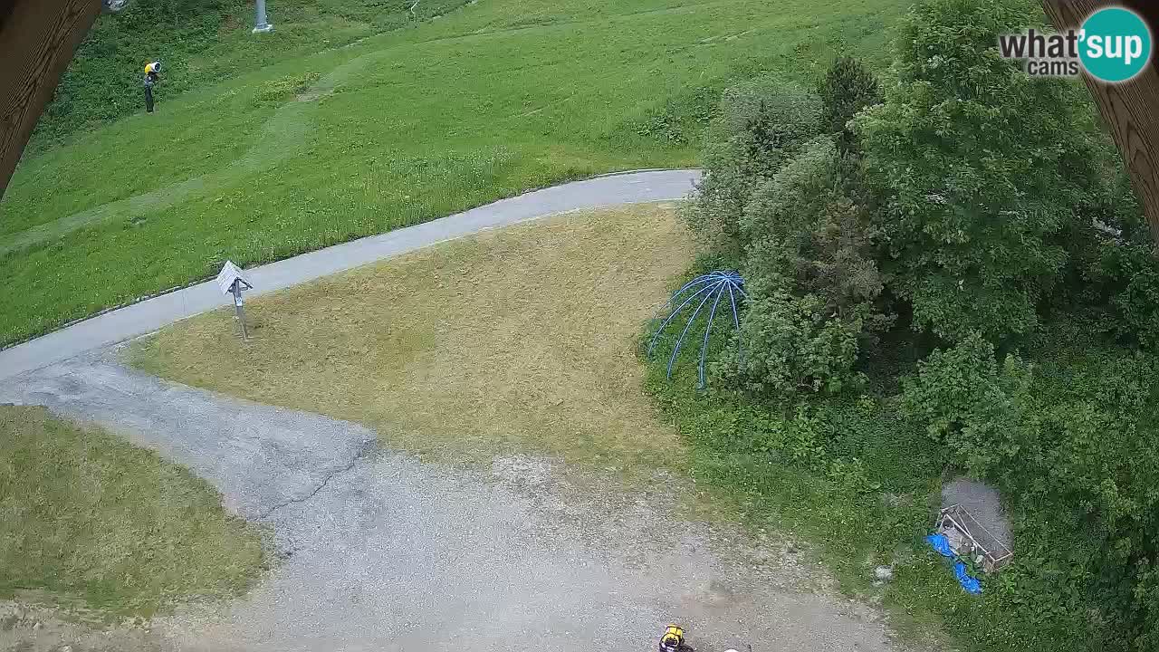 Smučišče Zoncolan – Goles