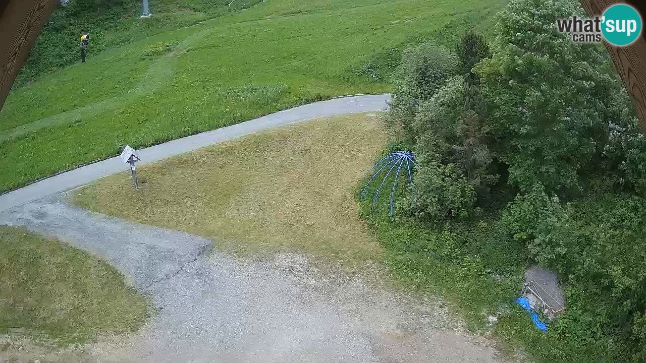 Smučišče Zoncolan – Goles
