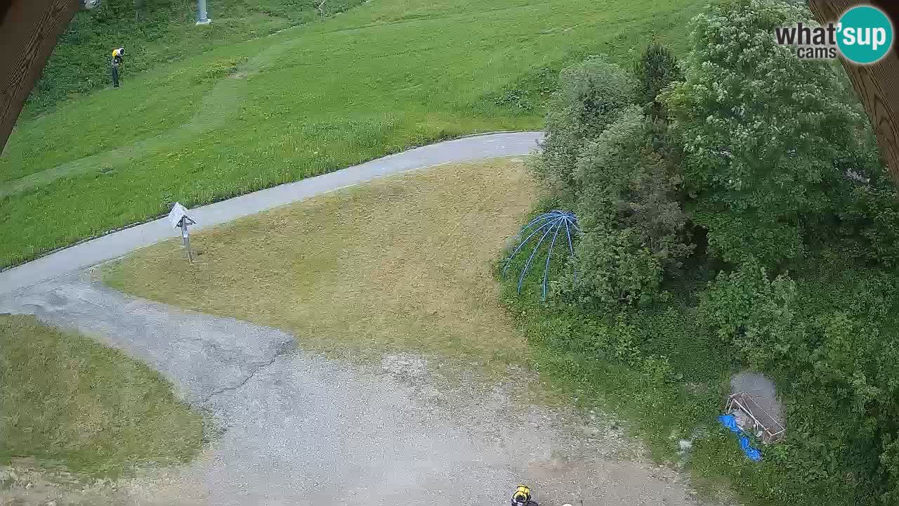 Smučišče Zoncolan – Goles