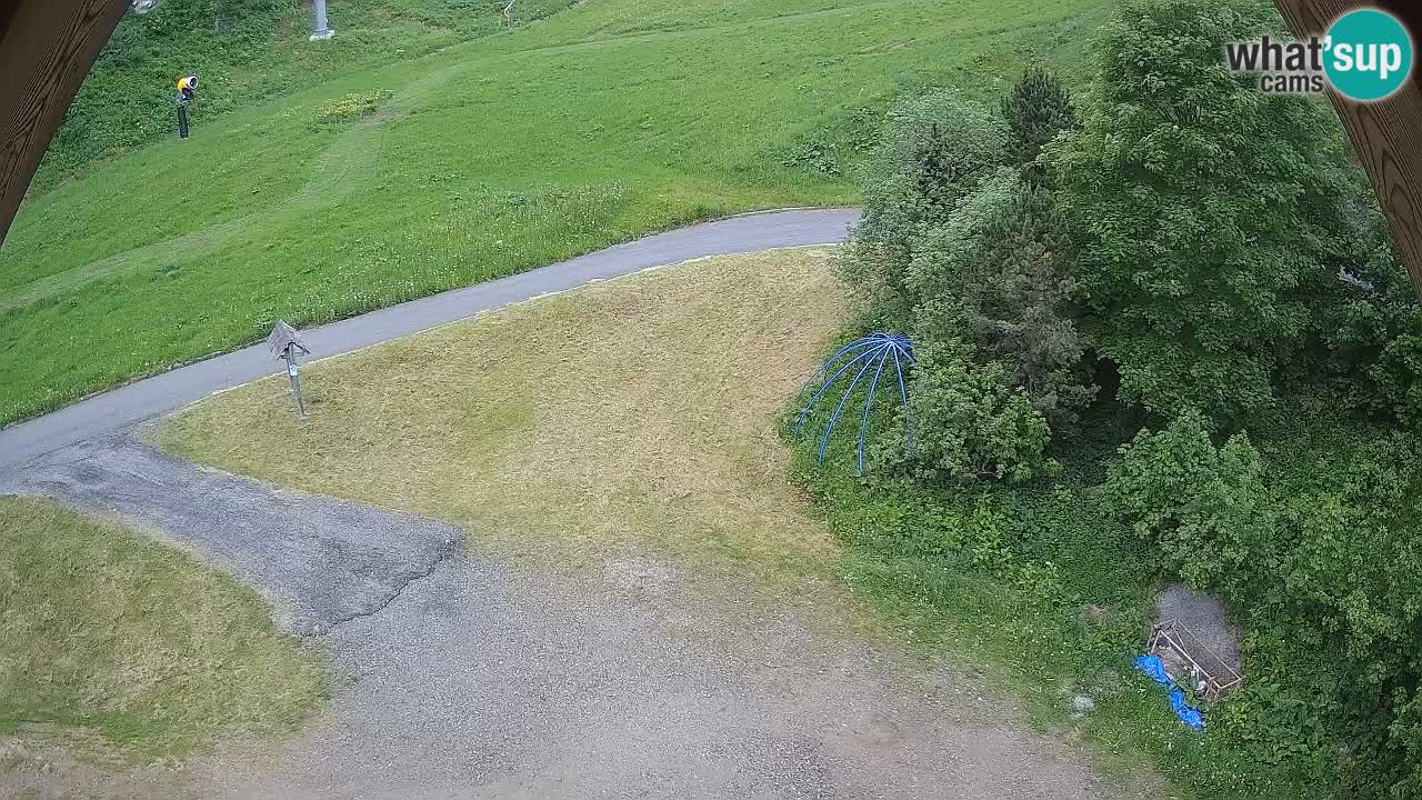 Smučišče Zoncolan – Goles
