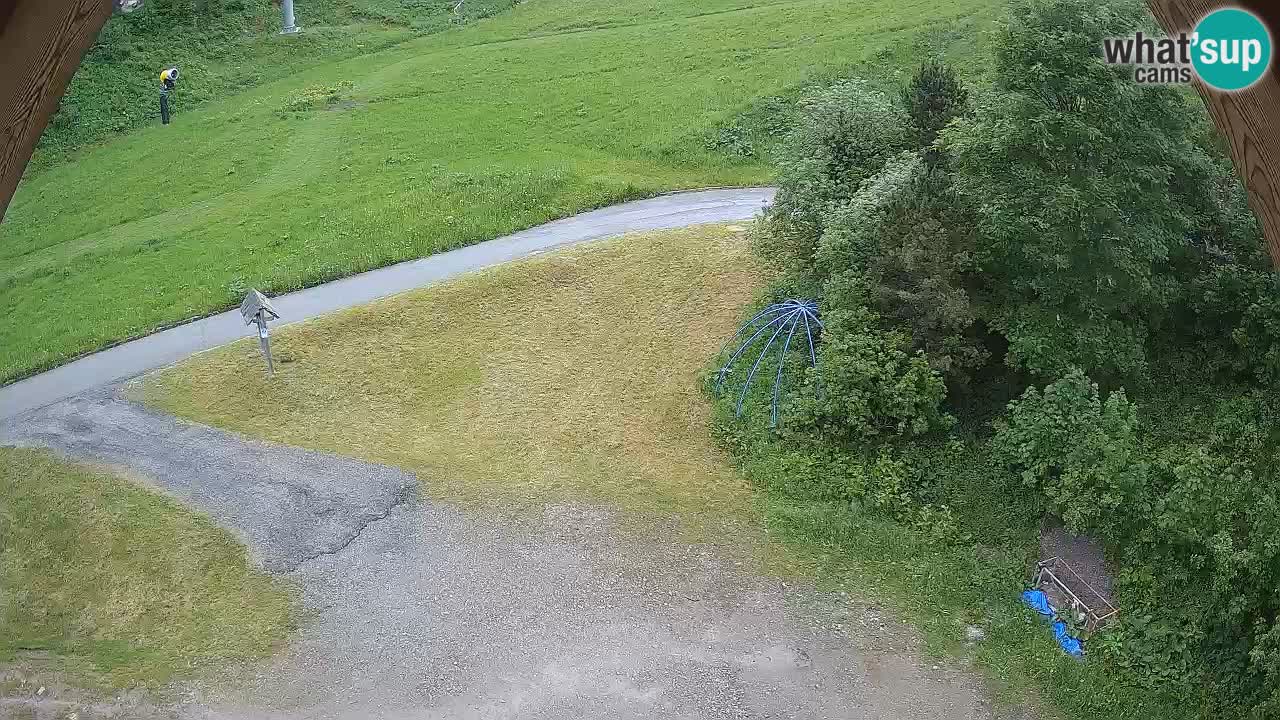 Smučišče Zoncolan – Goles