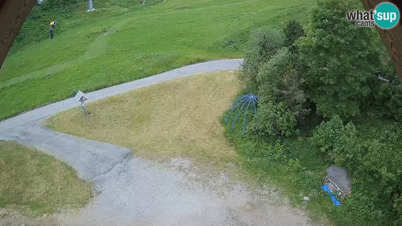 Smučišče Zoncolan – Goles