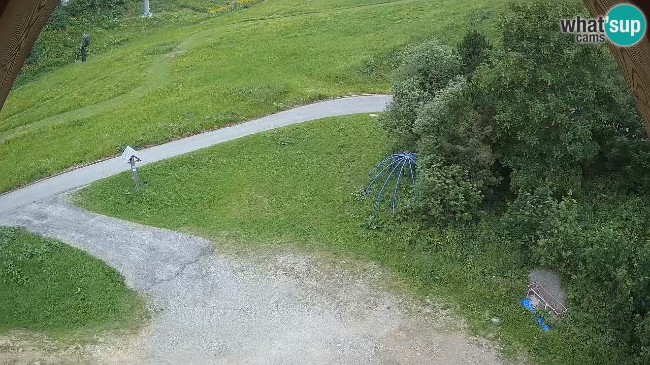 Ski resort Zoncolan mountain – Goles