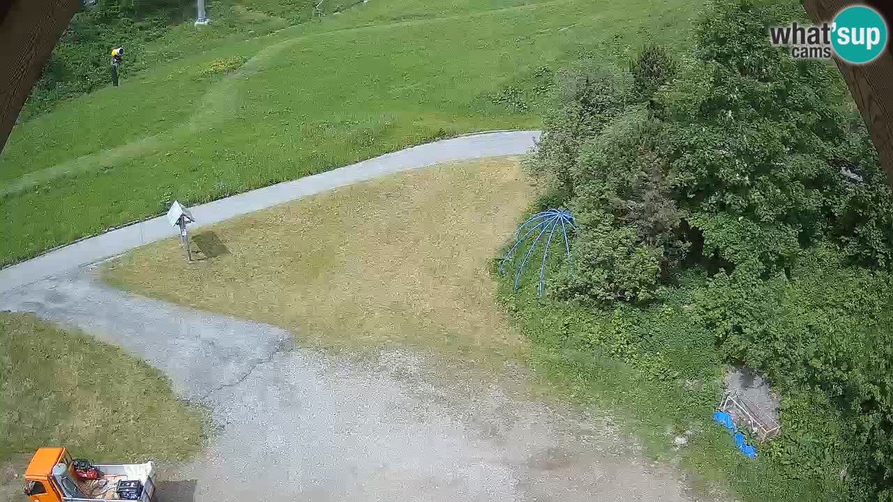 Ski resort Zoncolan mountain – Goles