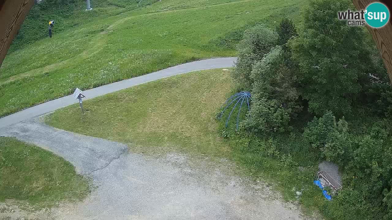 Smučišče Zoncolan – Goles