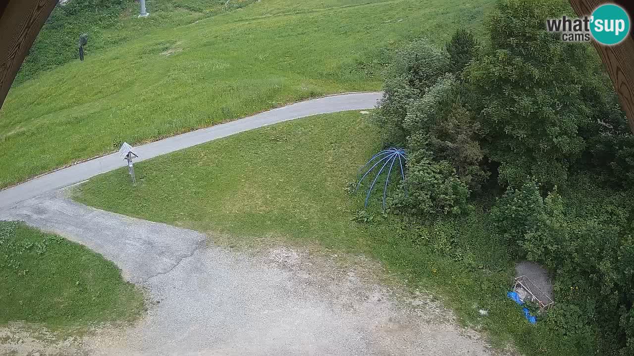 Ski resort Zoncolan mountain – Goles