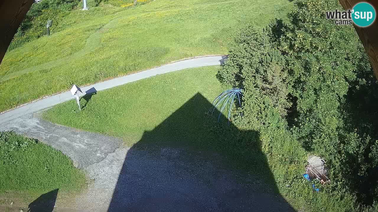 Ski resort Zoncolan mountain – Goles