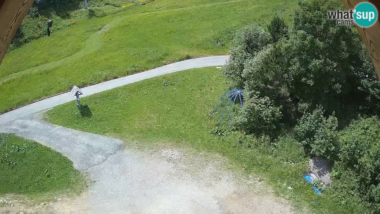 Smučišče Zoncolan – Goles