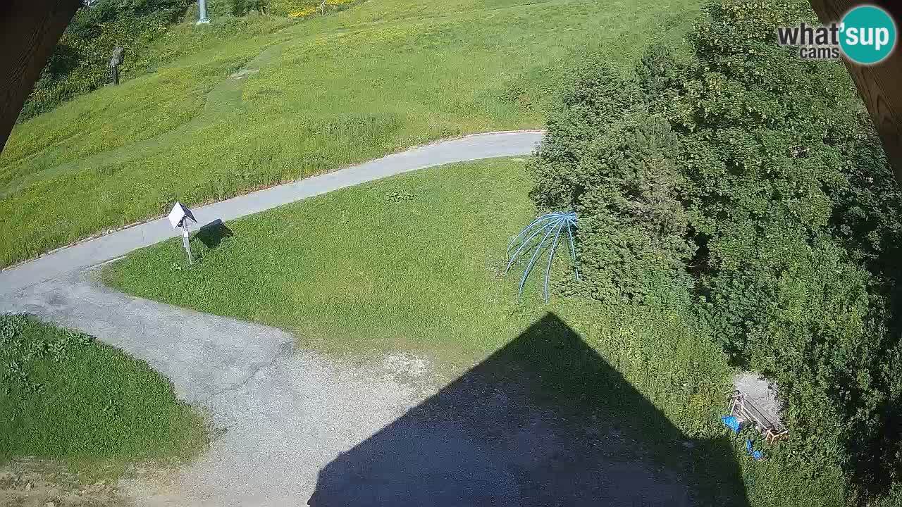 Smučišče Zoncolan – Goles