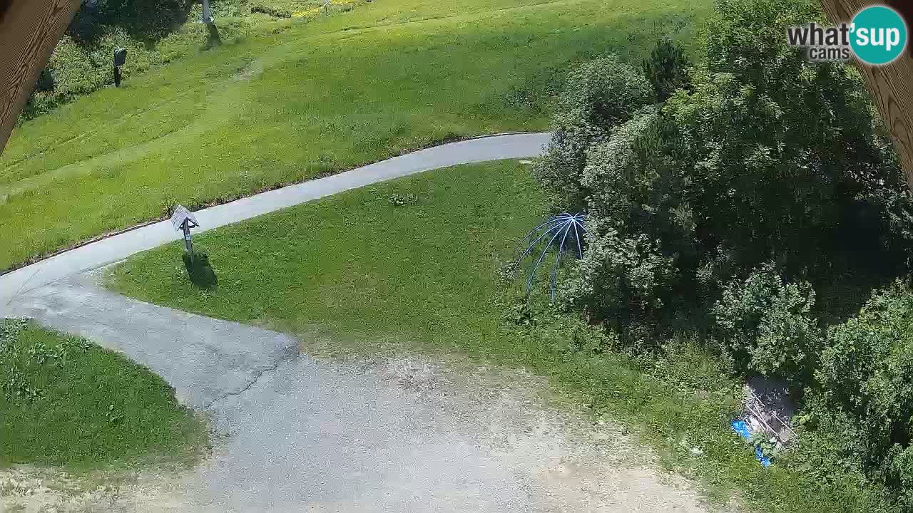 Skijalište Zoncolan – Goles
