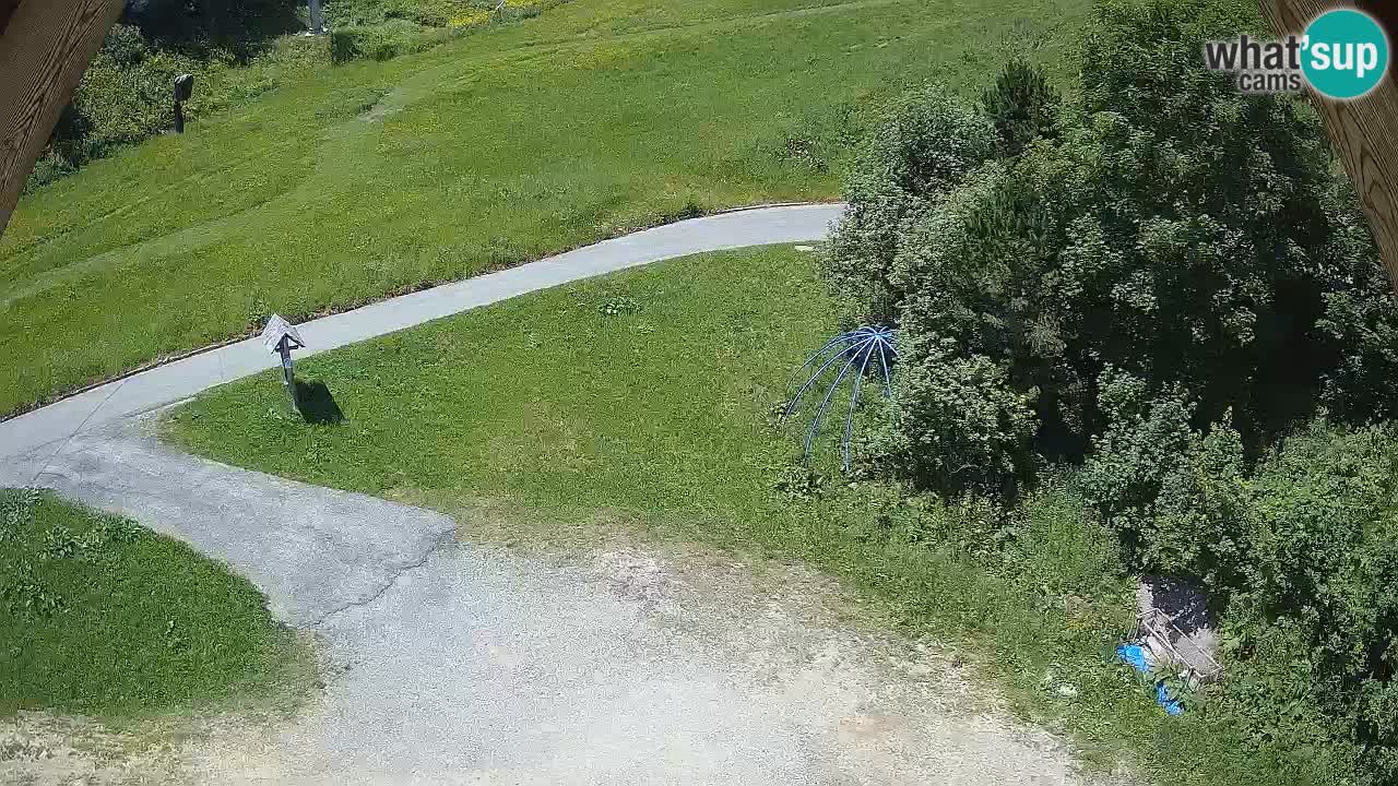Ski resort Zoncolan mountain – Goles