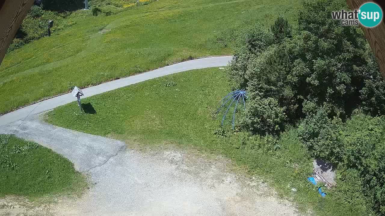 Skigebiet Zoncolan – Goles