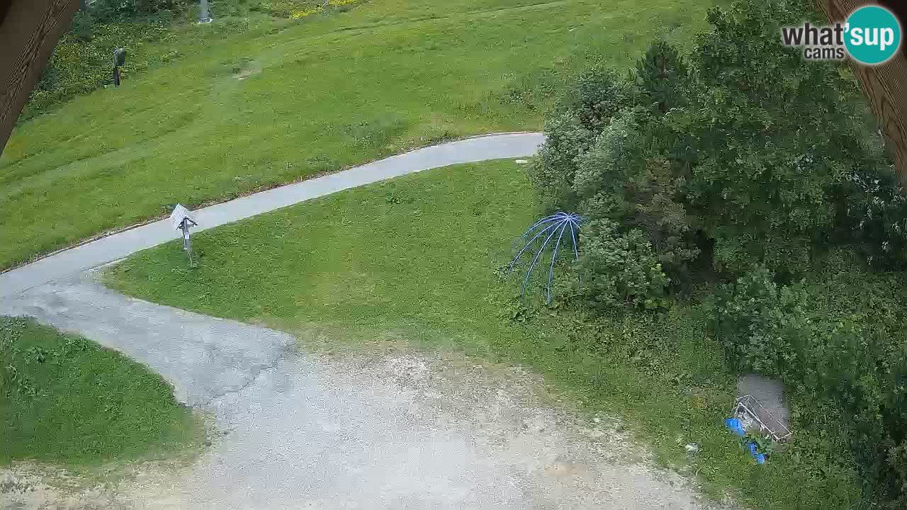 Smučišče Zoncolan – Goles
