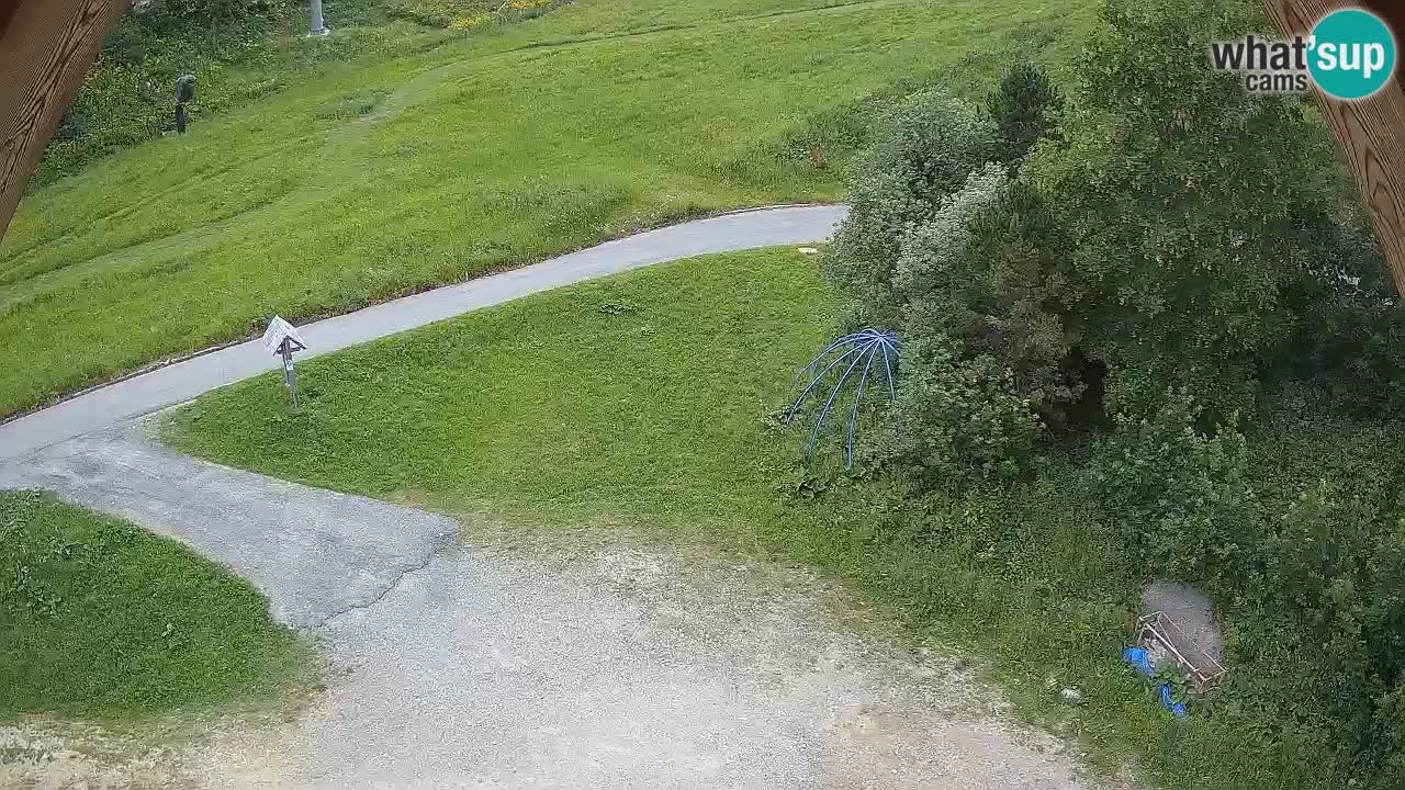 Smučišče Zoncolan – Goles