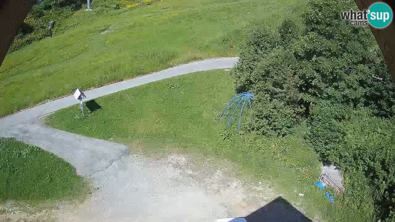 Smučišče Zoncolan – Goles