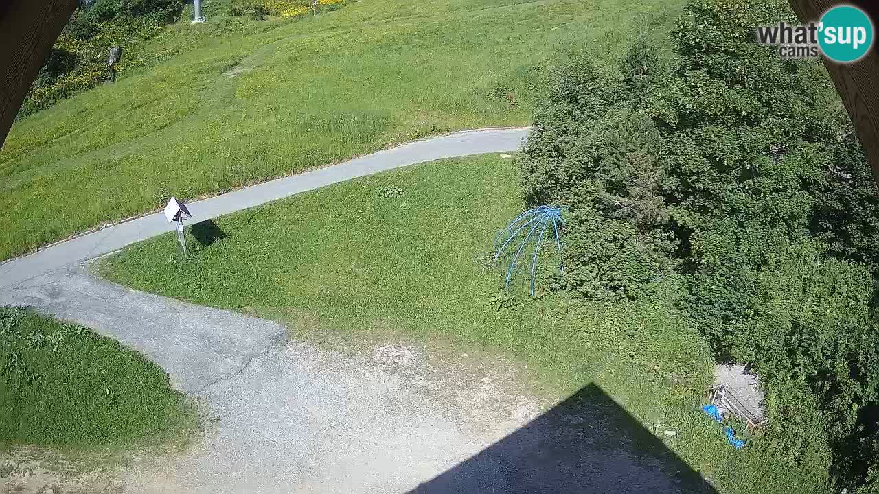Stazione sciistica Zoncolan – Goles