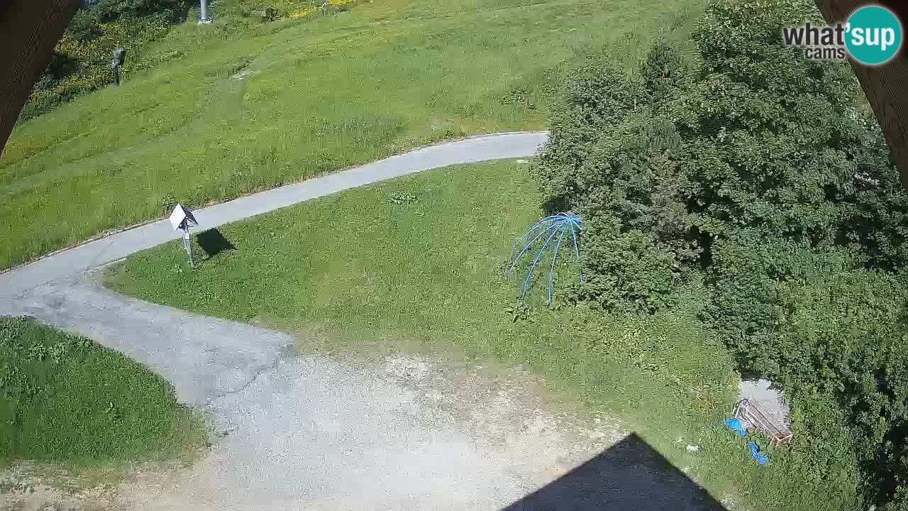 Smučišče Zoncolan – Goles