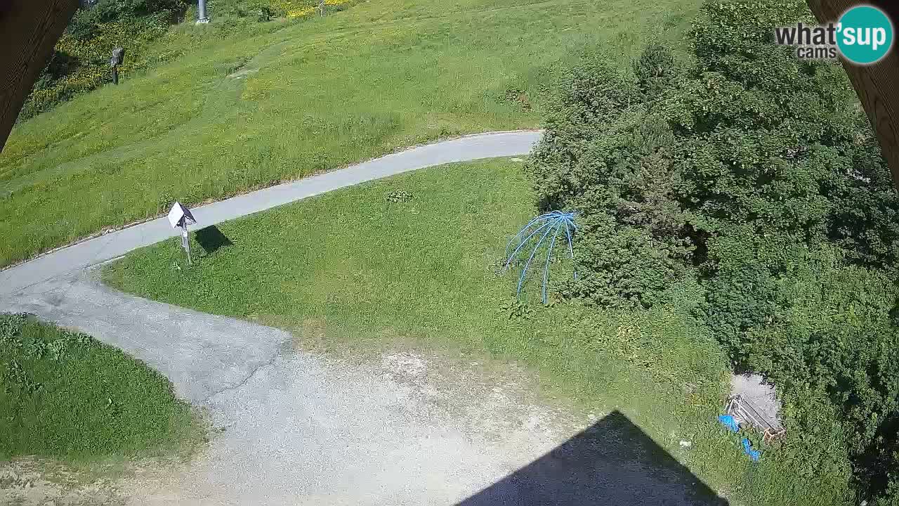 Smučišče Zoncolan – Goles