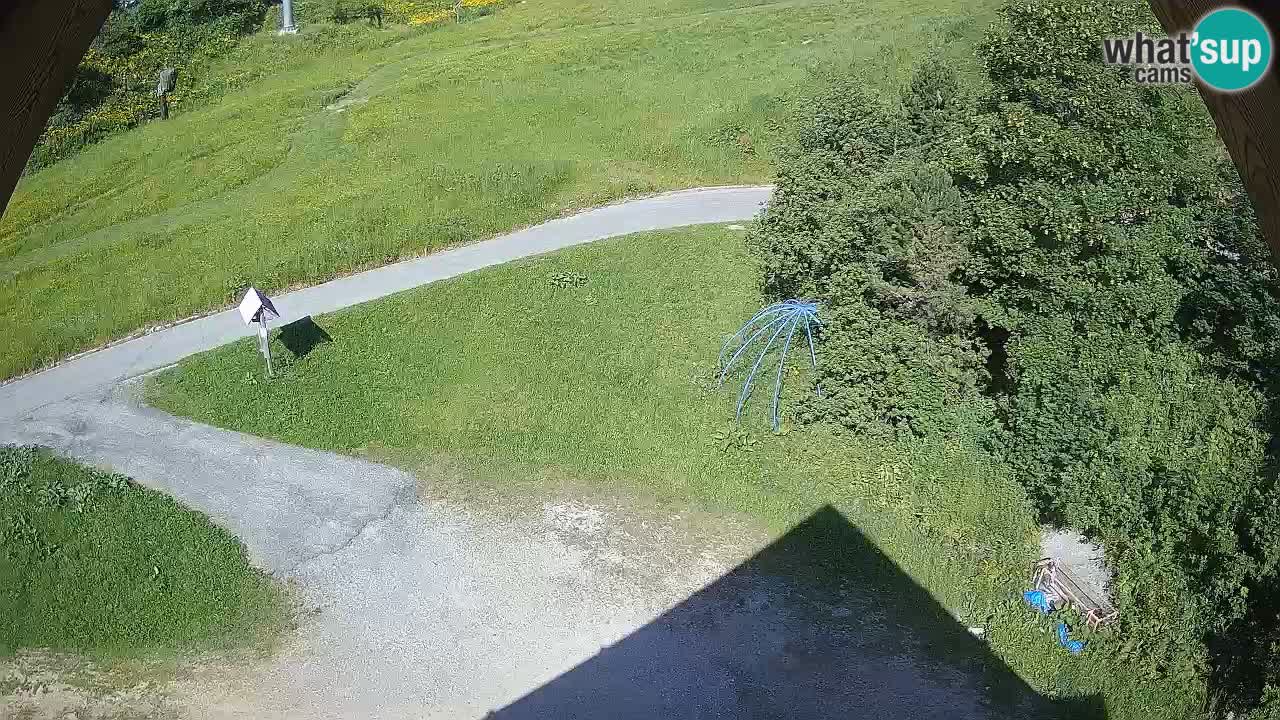 Skigebiet Zoncolan – Goles