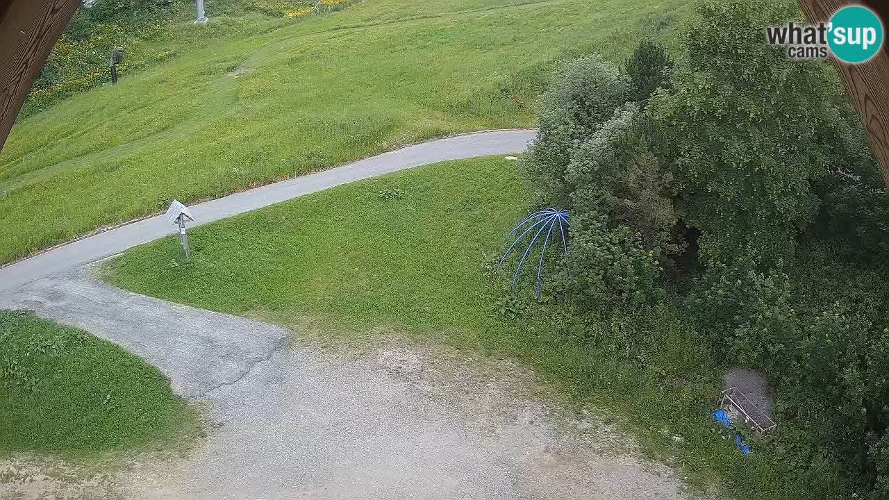 Smučišče Zoncolan – Goles