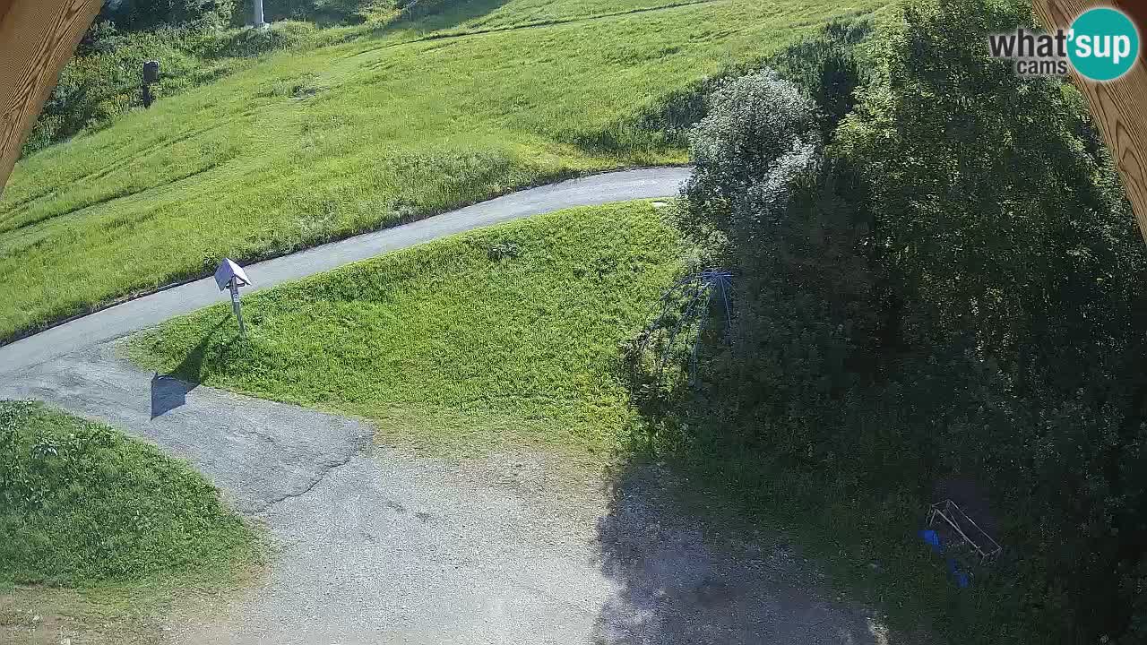 Ski resort Zoncolan mountain – Goles