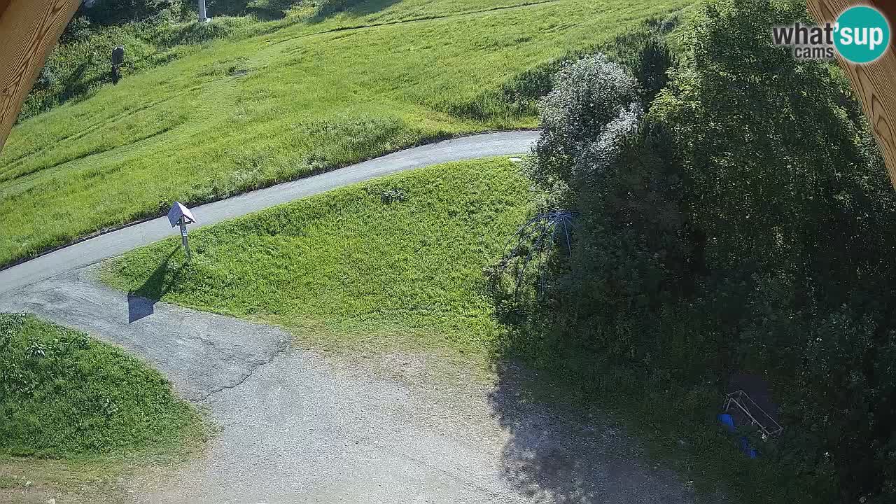 Smučišče Zoncolan – Goles