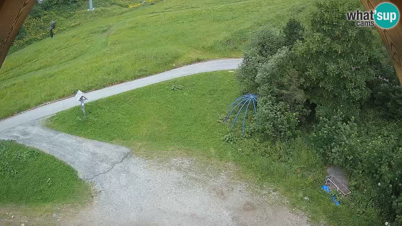 Stazione sciistica Zoncolan – Goles