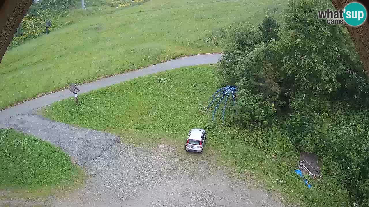 Skijalište Zoncolan – Goles